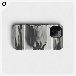 1-91_Karl-Blossfeldt_phone
