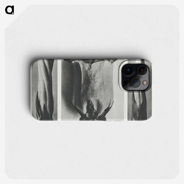 1-91_Karl-Blossfeldt_phone