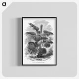1-91_Les-Palmiers-Histoire-Iconographique_blk-crop
