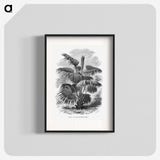 1-91_Les-Palmiers-Histoire-Iconographique_blk