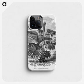 1-91_Les-Palmiers-Histoire-Iconographique_phone