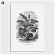 1-91_Les-Palmiers-Histoire-Iconographique_picture