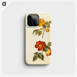 1-91_Maria-Sibylla-Merian_phone
