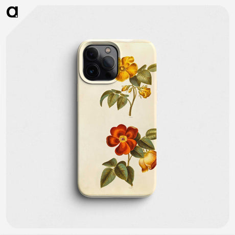 1-91_Maria-Sibylla-Merian_phone
