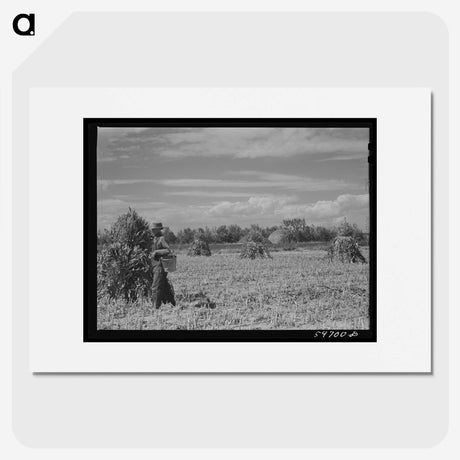1-91_Marion-Post-Wolcott_picture