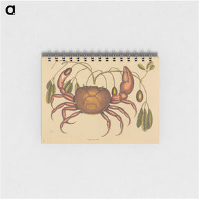 1-91_Mark-Catesby_memo