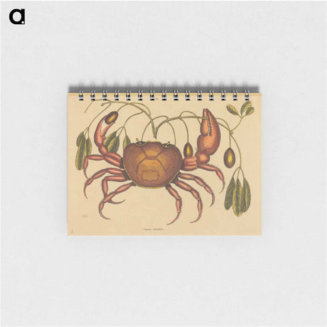 アートメモ帳-The Land-crab
 - マーク ケイツビー Memo.