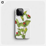 1-91_Mary-Vaux-Walcott_phone