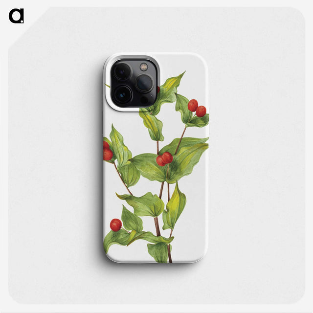 1-91_Mary-Vaux-Walcott_phone