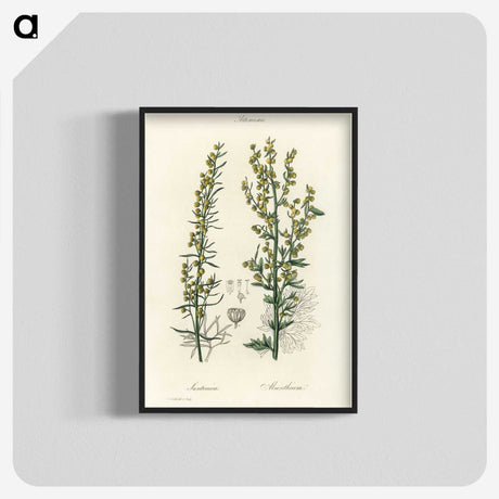 1-91_Medical-Botany_blk-crop