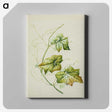 1-91_Native-Flowering-Plants-of-New-Zealand_canvas