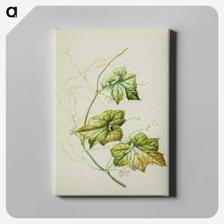 1-91_Native-Flowering-Plants-of-New-Zealand_canvas