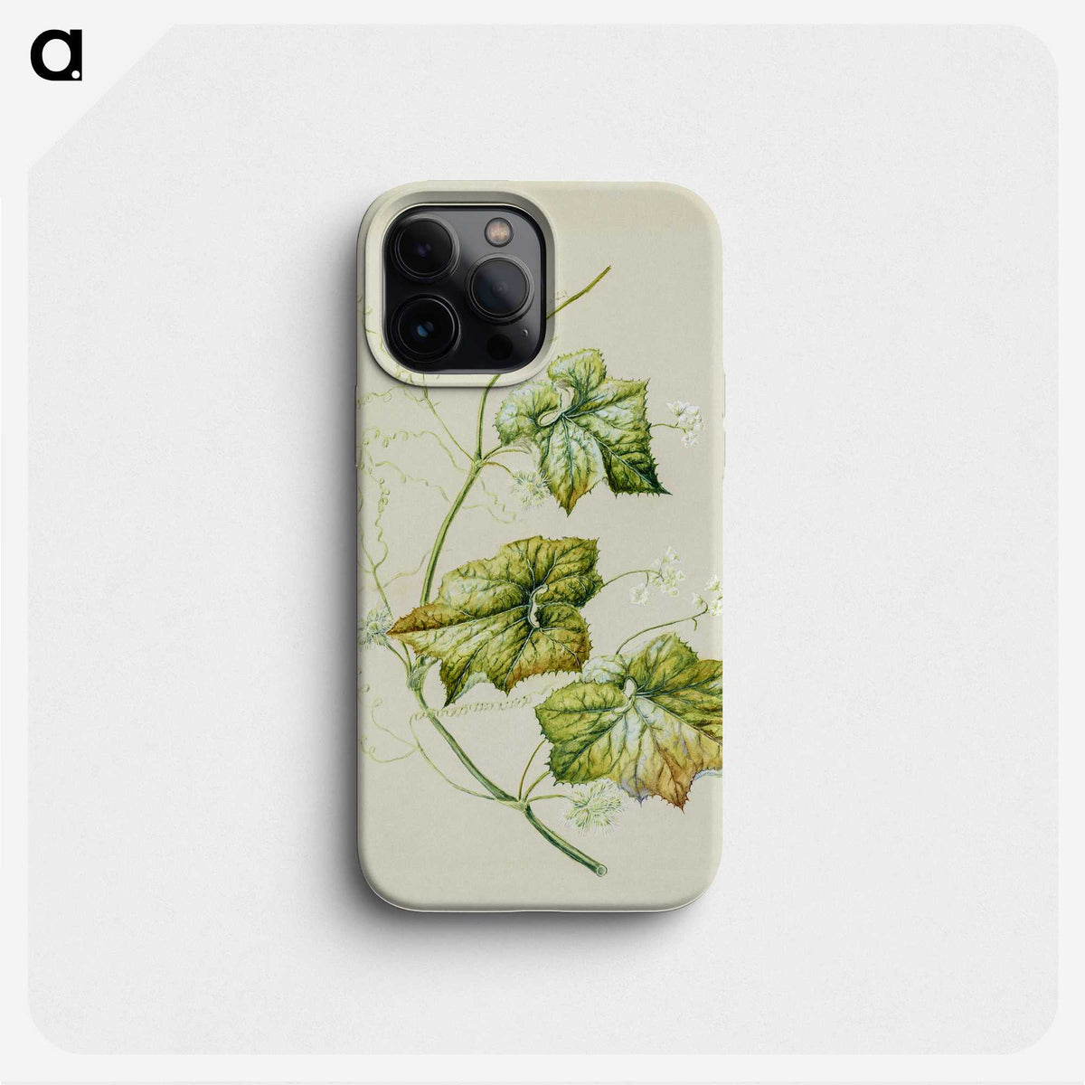 1-91_Native-Flowering-Plants-of-New-Zealand_phone