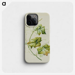 1-91_Native-Flowering-Plants-of-New-Zealand_phone