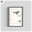 アートポスター-Brambling Illustration
 - 鳥類図鑑 Poster.