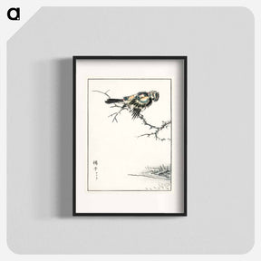 アートポスター-Brambling Illustration
 - 鳥類図鑑 Poster.