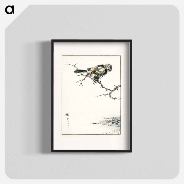 アートポスター-Brambling Illustration
 - 鳥類図鑑 Poster.