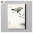 アートパネル-Brambling Illustration
 - 鳥類図鑑 Canvas.