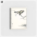 アートメモ帳-Brambling Illustration
 - 鳥類図鑑 Memo.