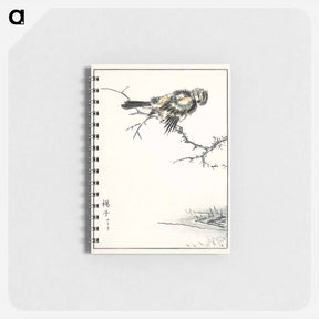 アートメモ帳-Brambling Illustration
 - 鳥類図鑑 Memo.