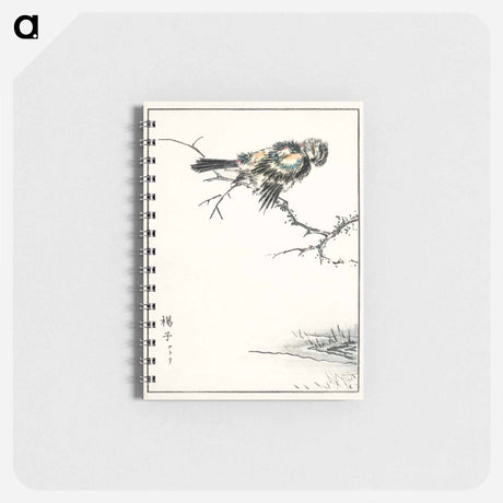 アートメモ帳-Brambling Illustration
 - 鳥類図鑑 Memo.