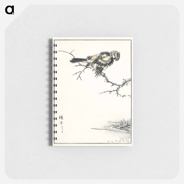 アートメモ帳-Brambling Illustration
 - 鳥類図鑑 Memo.