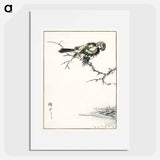 アートポスター-Brambling Illustration
 - 鳥類図鑑 Poster.