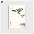 アートポストカード-Brambling Illustration
 - 鳥類図鑑 Postcard.