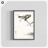 1-91_Pictorial-Monograph-of-Birds_blk-crop