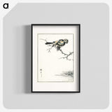 1-91_Pictorial-Monograph-of-Birds_blk