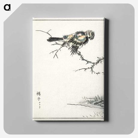 1-91_Pictorial-Monograph-of-Birds_canvas