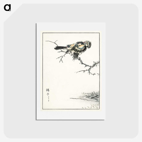 1-91_Pictorial-Monograph-of-Birds_hagaki