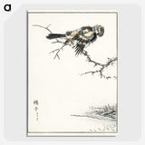1-91_Pictorial-Monograph-of-Birds_picture-crop