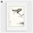 1-91_Pictorial-Monograph-of-Birds_picture
