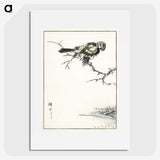 1-91_Pictorial-Monograph-of-Birds_picture