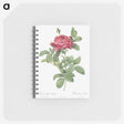 1-91_Pierre-Joseph-Redoute_memo