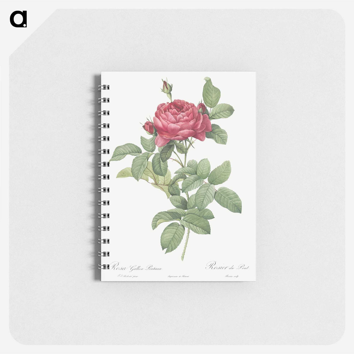 1-91_Pierre-Joseph-Redoute_memo