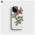 1-91_Pierre-Joseph-Redoute_phone