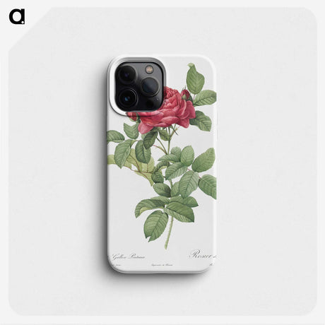 1-91_Pierre-Joseph-Redoute_phone