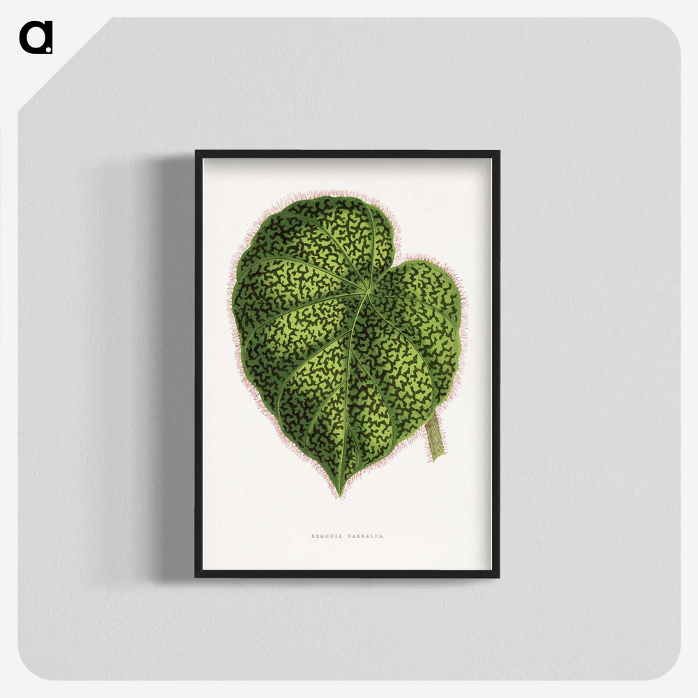 1-91_Plants-with-Colored-Foliage_blk-crop