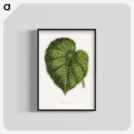 1-91_Plants-with-Colored-Foliage_blk-crop
