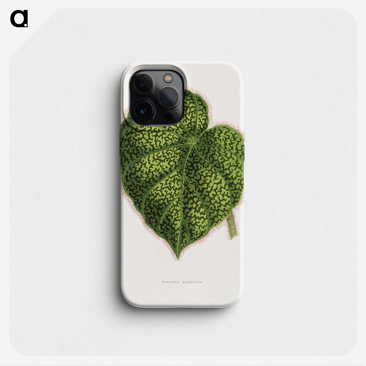 1-91_Plants-with-Colored-Foliage_phone