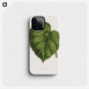 1-91_Plants-with-Colored-Foliage_phone