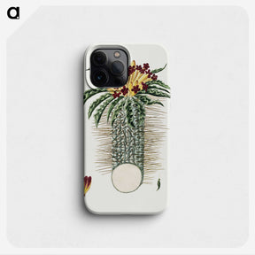1-91_Robert-Jacob-Gordon_phone