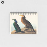 アートメモ帳-Violet-green Cormorant and Townsend's Cormorant from Birds of America
 - アメリカの鳥たち Memo.