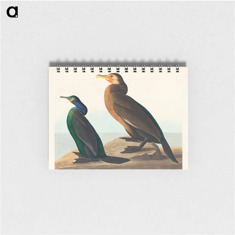 アートメモ帳-Violet-green Cormorant and Townsend's Cormorant from Birds of America
 - アメリカの鳥たち Memo.