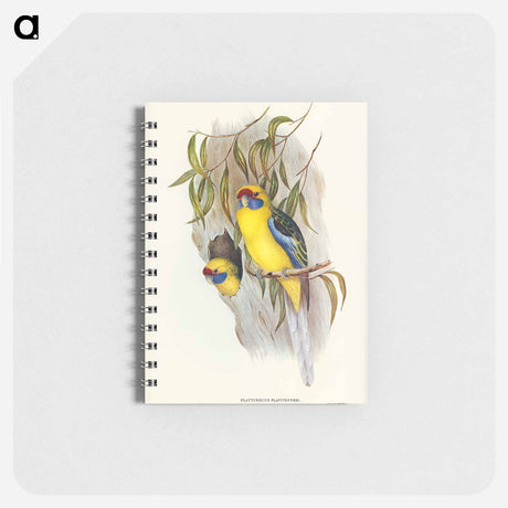 アートメモ帳-Yellow-bellied Parakeet
 - オーストラリアの鳥 Memo.