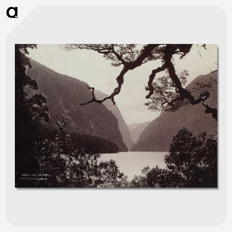 1-91_The-Burton-Brothers_picture-crop