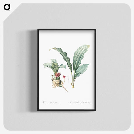 1-91_The-Lilies_blk-crop
