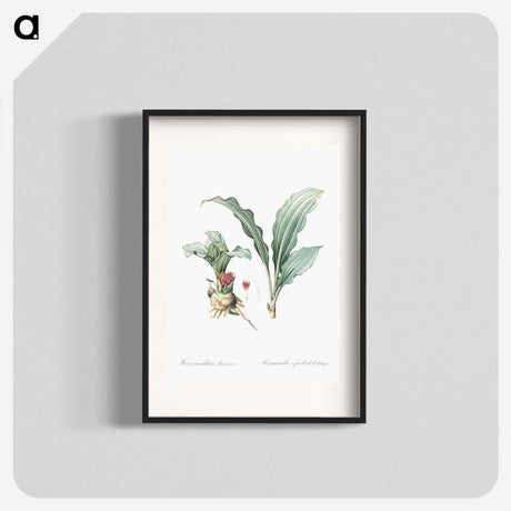 1-91_The-Lilies_blk